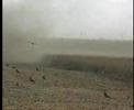 Conozcamos el Campo_Bloque_02