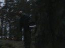 Total Kvalitet - Skr�ck i skogen