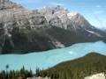 沛托湖（Peyto Lake）