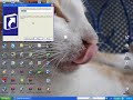 Windows Xp Tricks