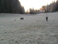 MOV031.MOD