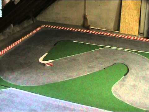 how to paint a mini z