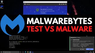Видео Malwarebytes Premium