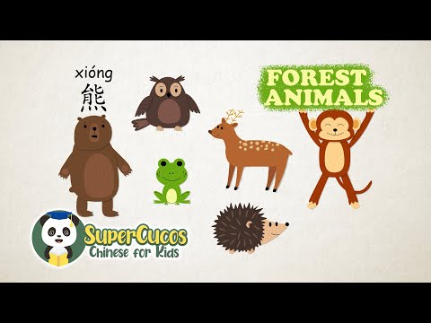 学中文-森林动物 1| Learn Chinese – Forest Animals Part 1 | Aprender Chino ...