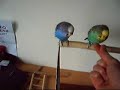 pietje and rietje tricks