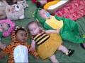 videos de More Halloween babies