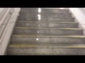 ツバメしんどろ～む