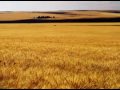 Creation Calls - Brian Doerksen Creation Calls - Brian Doerksen