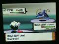 videos de Pokemon Diamond and Pearl Elite Four Bertha