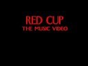 Red Cup (L. D. BriQ) Music Video Teaser Trailer