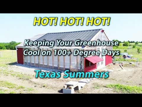 Backyard Aquaponics Diy System To Farm Fish With Vegetables On