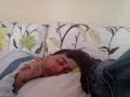 cobra t�t� beist jonny ins gesicht