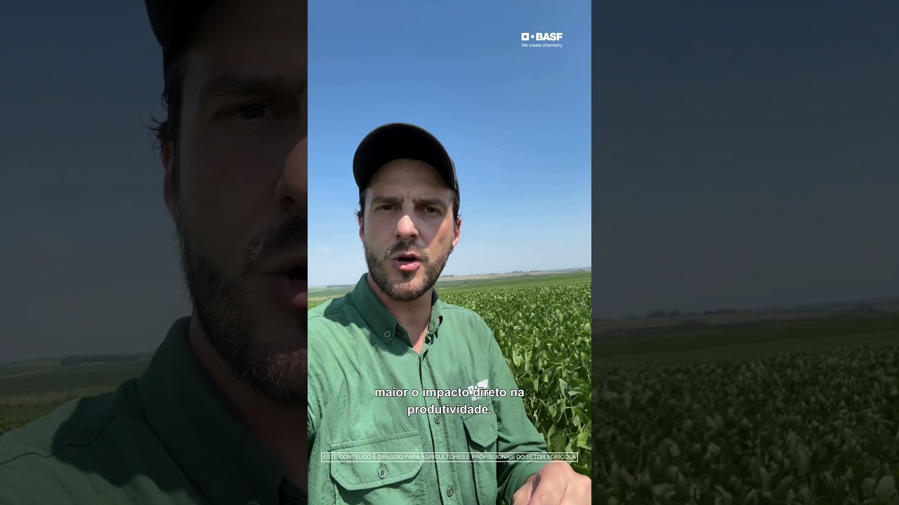 Não abandone a lavoura no final do ciclo!