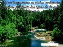 Se ainda tiver noite Traiçoeiras...Deus estará comigo!!