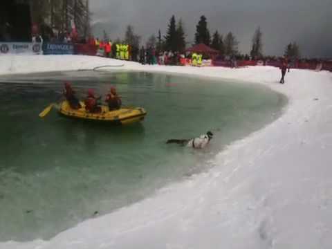 Locknfest - Kronplatz