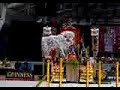 world lion dance champion - malaysian kun seng keng team c