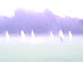Search Video