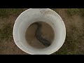 Outdoor Ohio - Fishin\