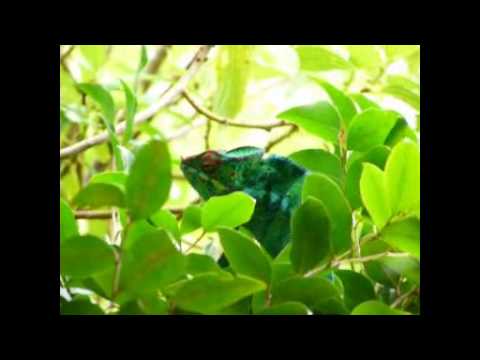 Image de prévisualisation YouTube