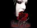 Come on an Adventure with AP Miller at www.extasy books.com/www.Devine Destinies.com