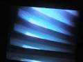 videos de Kalapa Live With PlanktON @ BASS