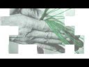 AFrofusion Promo Reel