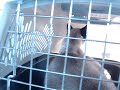 Henry and Tynne on the car ride home
