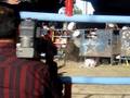 jaripeo2 san miguel tequixtepec