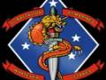 marines wives family deployment usmc 1/4 1stbattalion4thmarines love