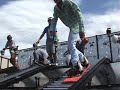 Dna Rail Jam Colemen Wilson Dna Rail Jam Colemen Wilson