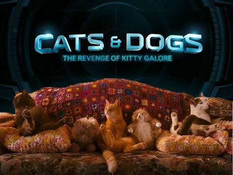 Reel World: DVD Tuesday - Cats & Dogs and Clash of the Titans