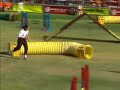 Arizona Agility Arizona Agility