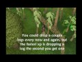 Runescape 99 Woodcutting