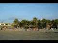 Ver Video