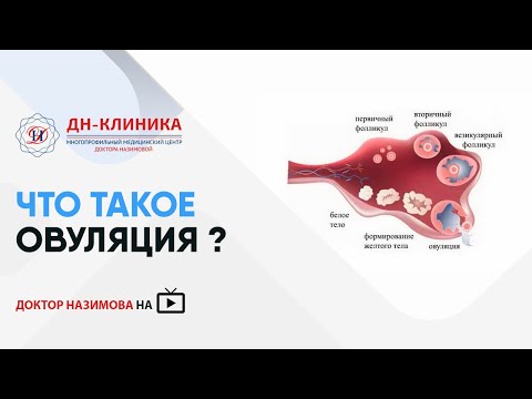 Видео: lFdEy1WlrnI