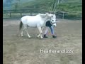 For a Horse video collab