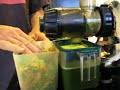 Making Green Juice in the Omega 8005 Juicer (part 2 of 2)