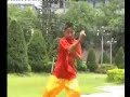 a presentation of the dei sart set of bak mei by the sai kwong bak mei martial arts research association in china