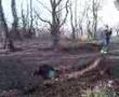 muxton woods jumps