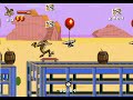 Desert Demolition (Genesis) - Coyote Desert Demolition (Genesis) - Coyote