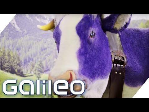 Milka - eine Erfolgsstory | Galileo | ProSieben