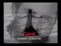 Canel-Sevsem Öldürürler