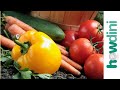 Organic gardening: How to grow an organic vegetable garden