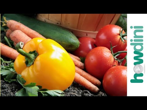 how to grow own vegetables