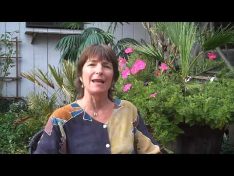 video_img