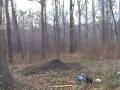morton park.wmv