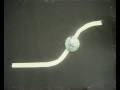 videos de CreaPro 2008 AdMoVeo: SJAAK FOLLOWS A LINE by Aylin Groenewoud and Ronald Helgers.