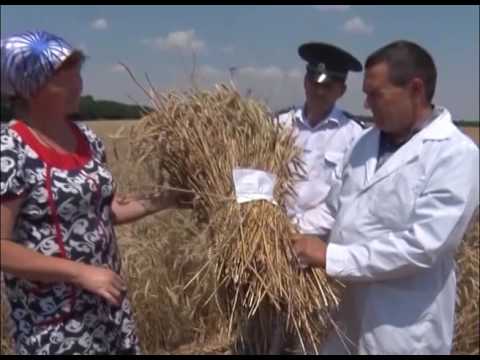 О проведении публичного обсуждения результатов правоприменительной практики Управления Россельхознадзора по Ростовской, Волгоградской и Астраханской областям и Республике Калмыкия