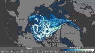 Arctic's oldest ice each week since 1990