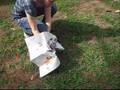 videos de Cocô sustentável